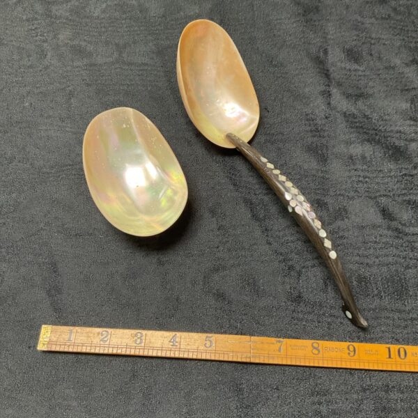 Vintage mother of pearl spoon with inlaid handle and spoon rest.