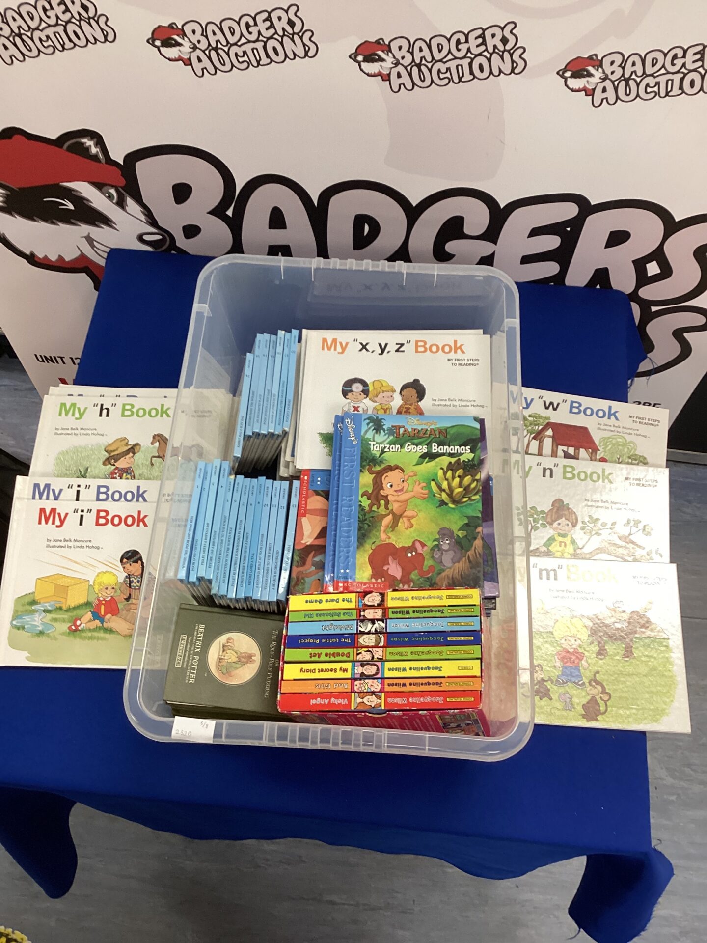 356 Large quantity of childrens books inc Disney