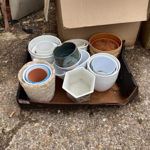 Assorted garden pots including terracotta, plastic and ceramic containers.