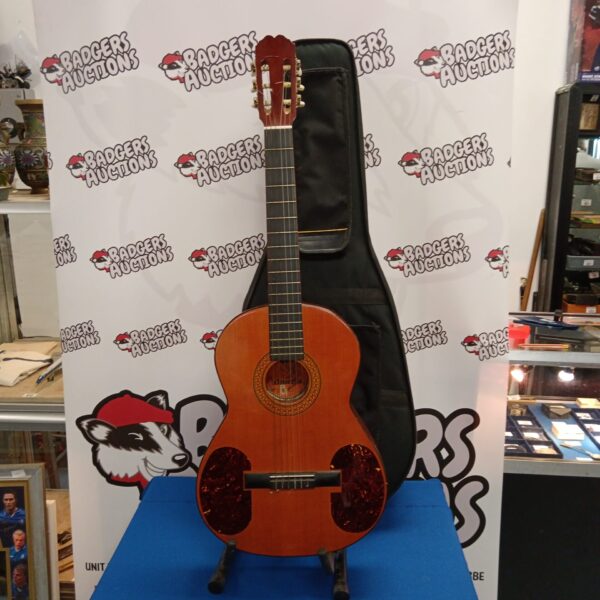 Vintage Bm Almeria acoustic guitar in a hard case.