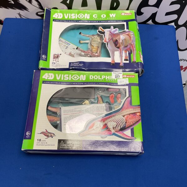 4D Vision cow anatomy model in original packaging.