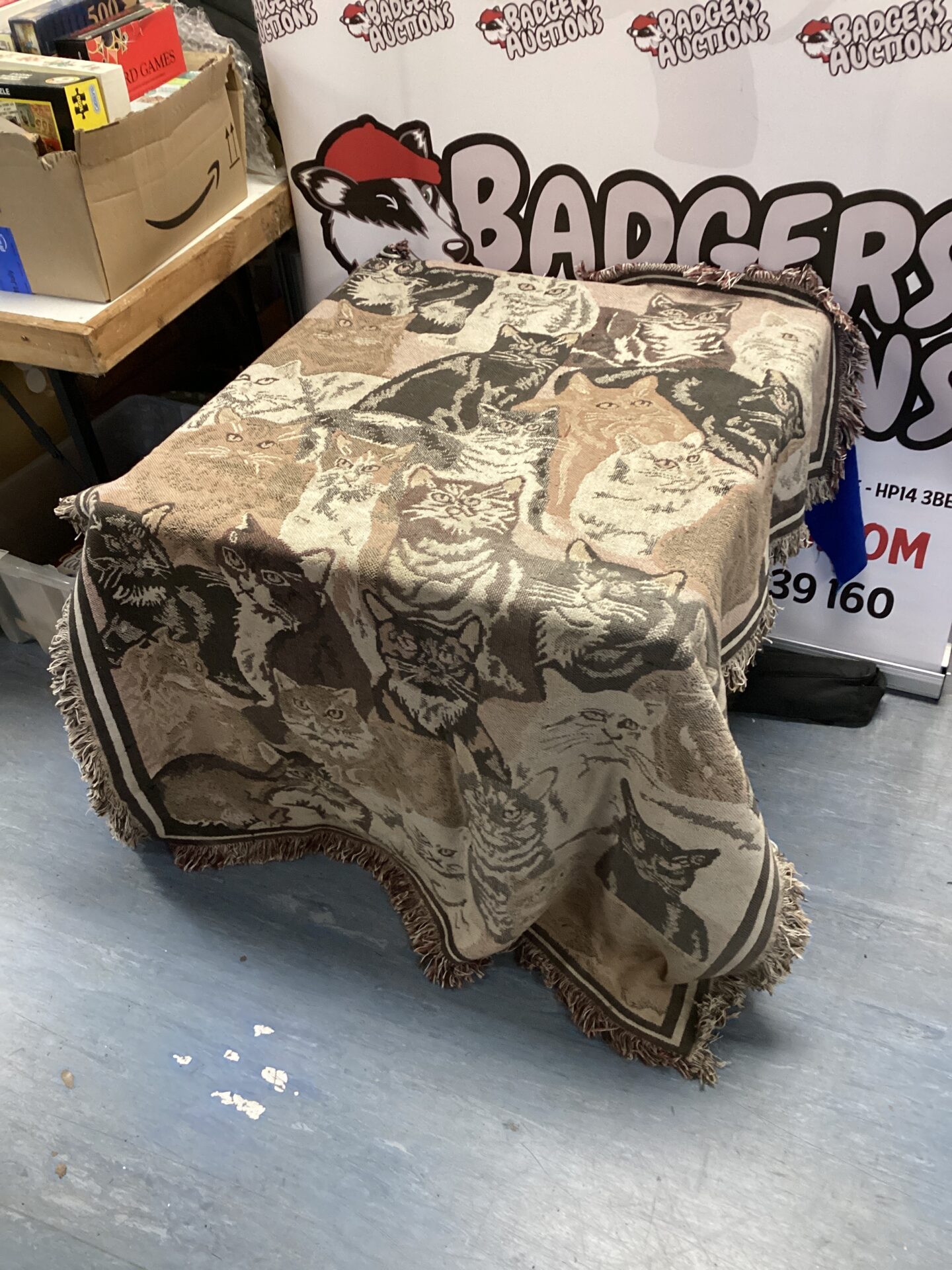 527 Cat rug