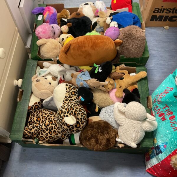 Mixed soft toy lot featuring Scooby Doo and Beanie Babies.