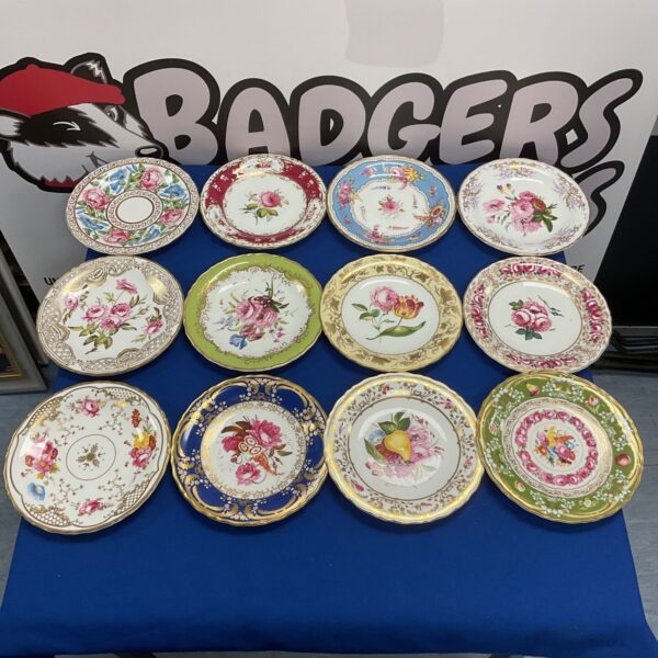 Collection of twelve Coalport floral collectors plates on display.