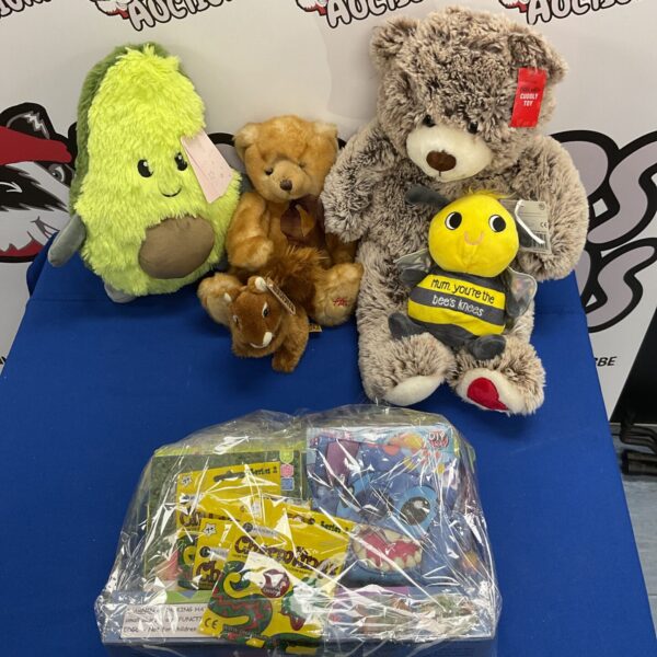Vintage soft toy collection featuring Hamlets Bear and craft games.