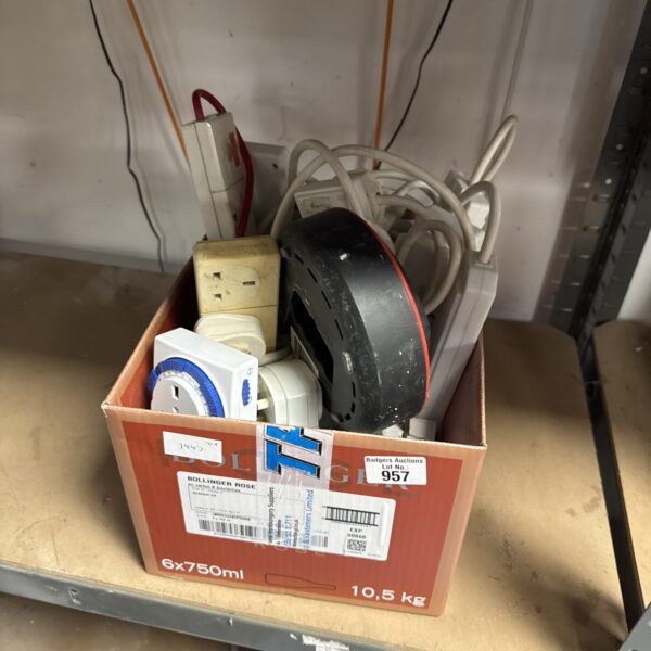 Assorted extension leads and power cables in a cardboard box.