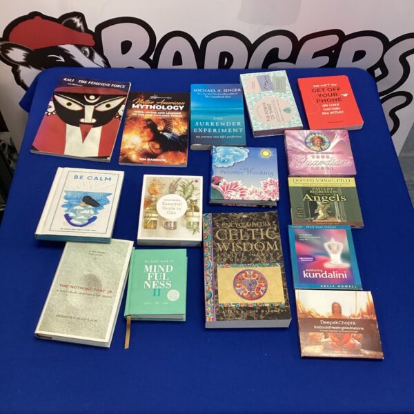 Lot of spiritual self help books including Michael Singer and Doreen Virtue.