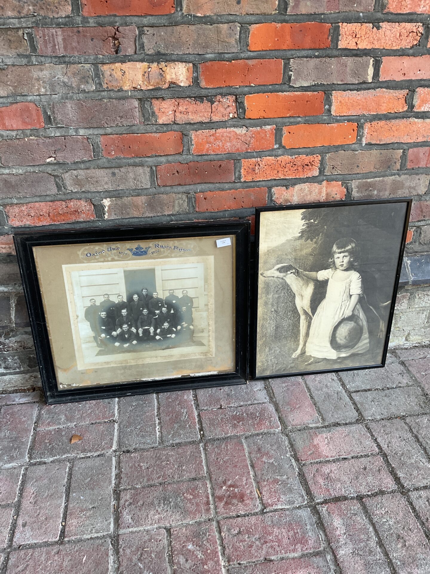 657 Vintage framed Oxford university rugby team photo & print of you g girl & her dog