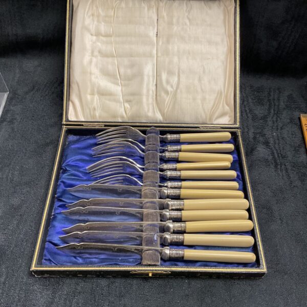 Vintage silver plate fish cutlery set in a presentation case.