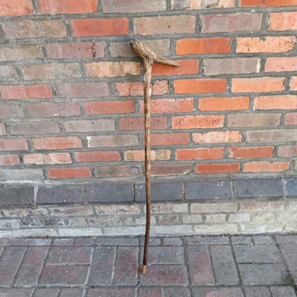 Vintage walking stick with detailed bird head carving.