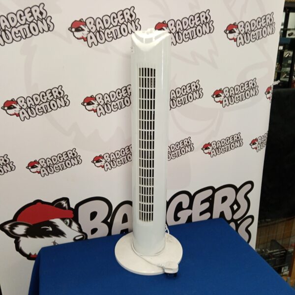 Front view of a white Dunelm tower fan.