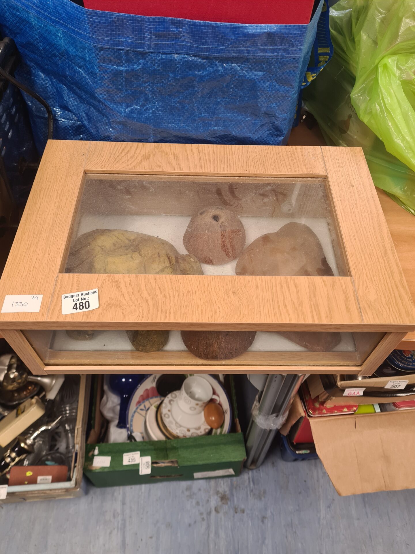 480 Caser animal vivarium
