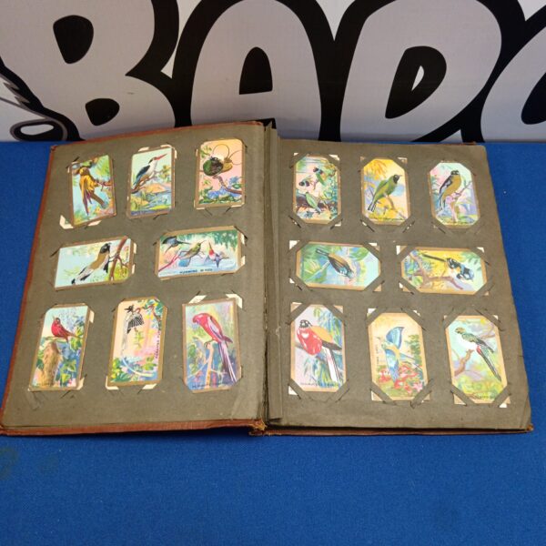 Vintage Players cigarette cards album featuring colourful bird illustrations.