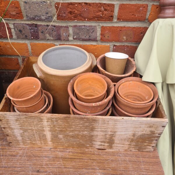 Collection of vintage terracotta garden pots in a wooden box.