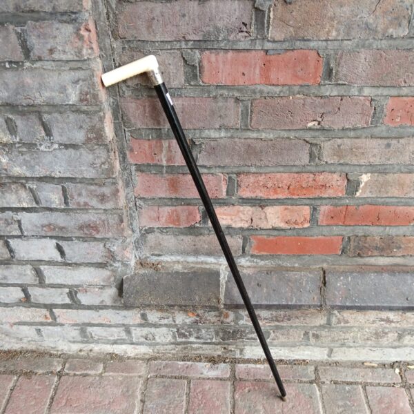 Full view of a vintage walking cane with bone handle.