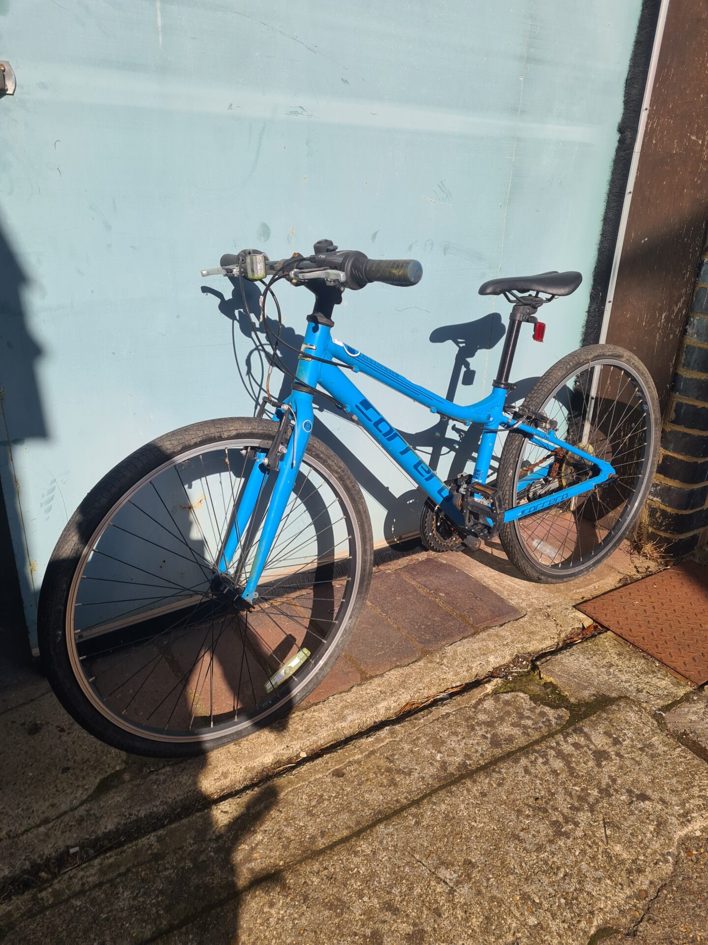 1177 Carerra subway junior mountain bike