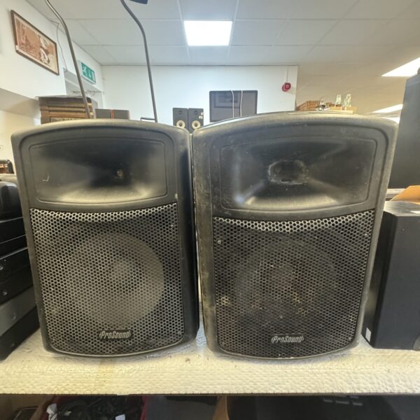 Two ProSound N08CQ 15 inch speakers for PA systems.