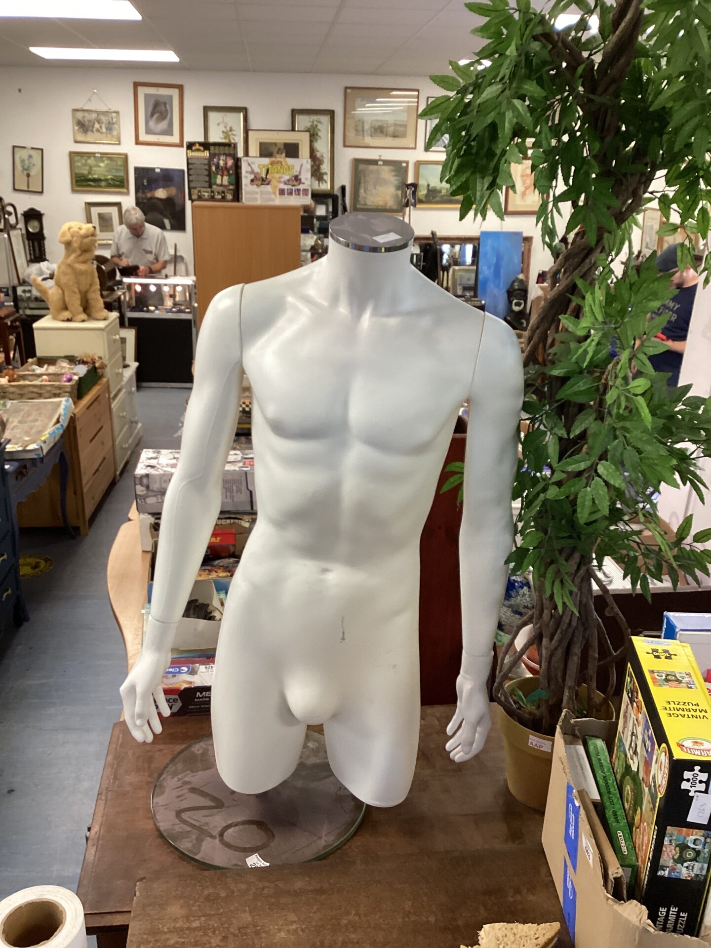 281 Male Manikin Torso