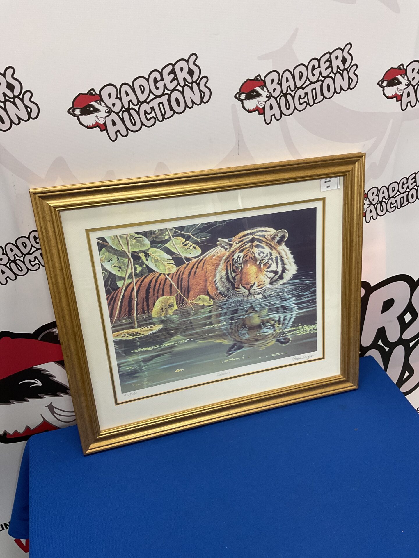 671 stephen gayford signed limited edition print of tiger titled reflections