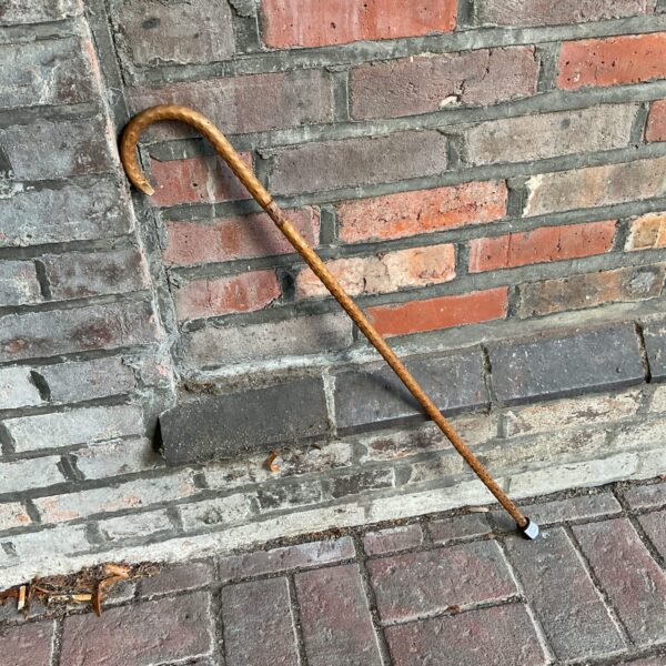Vintage thorn wood walking stick with curved handle.