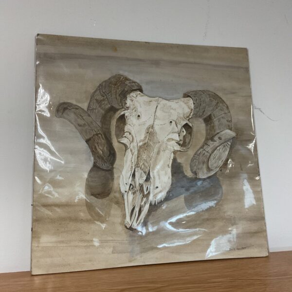 Detailed watercolour painting of a rams skull by Bill Hester.