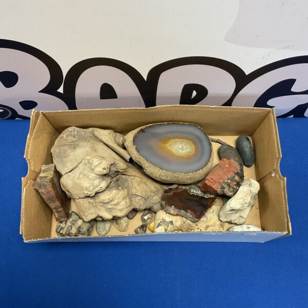 Diverse fossil and rock collection with a geode section.