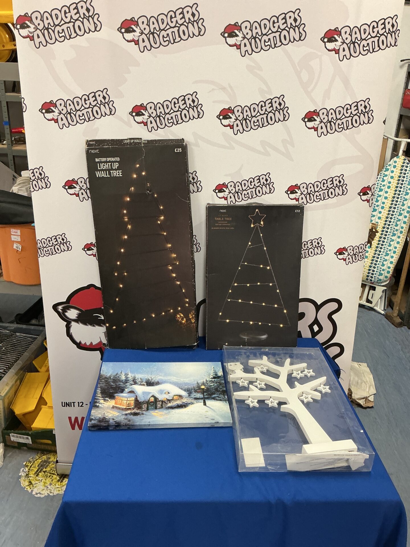 646 Selection of light up Christmas decorations