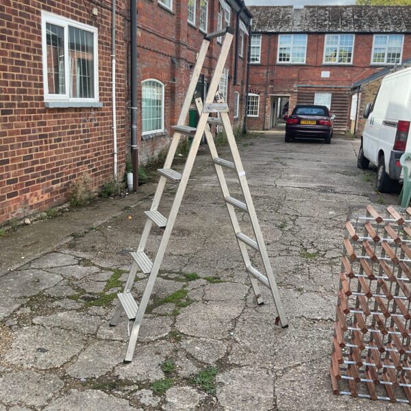 Aluminium step ladder in a garden setting.