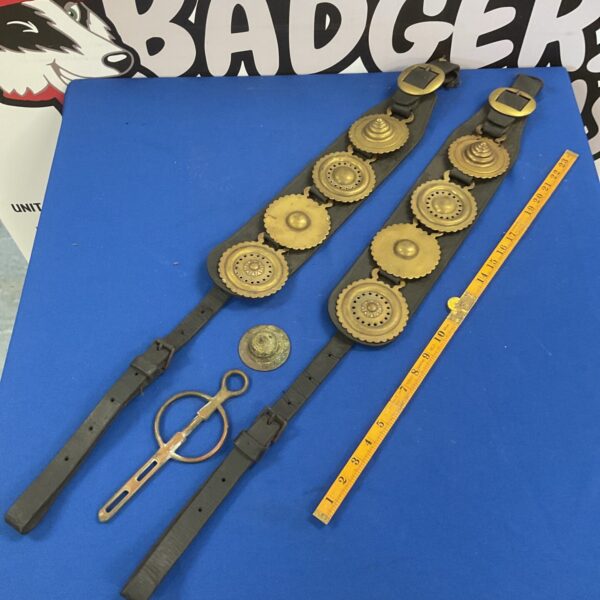 Vintage horse martingale and brasses lot for collectors.