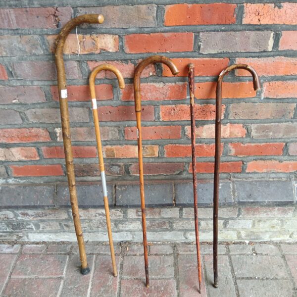 Lot of five vintage walking canes with wooden shafts.