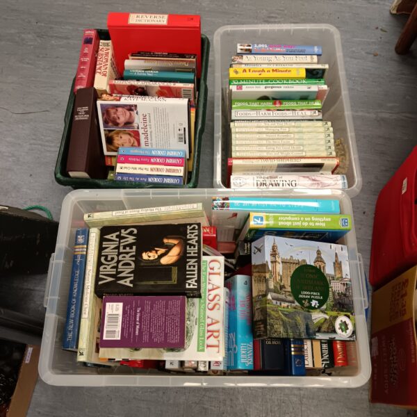 Overview of a large book lot with three plastic bins.