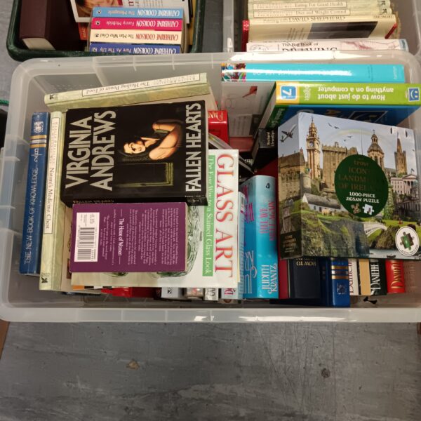 A collection of vintage paperback books in a plastic container.