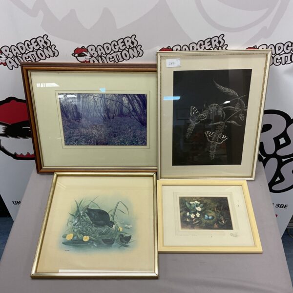Set of four framed prints with wildlife and landscape scenes.