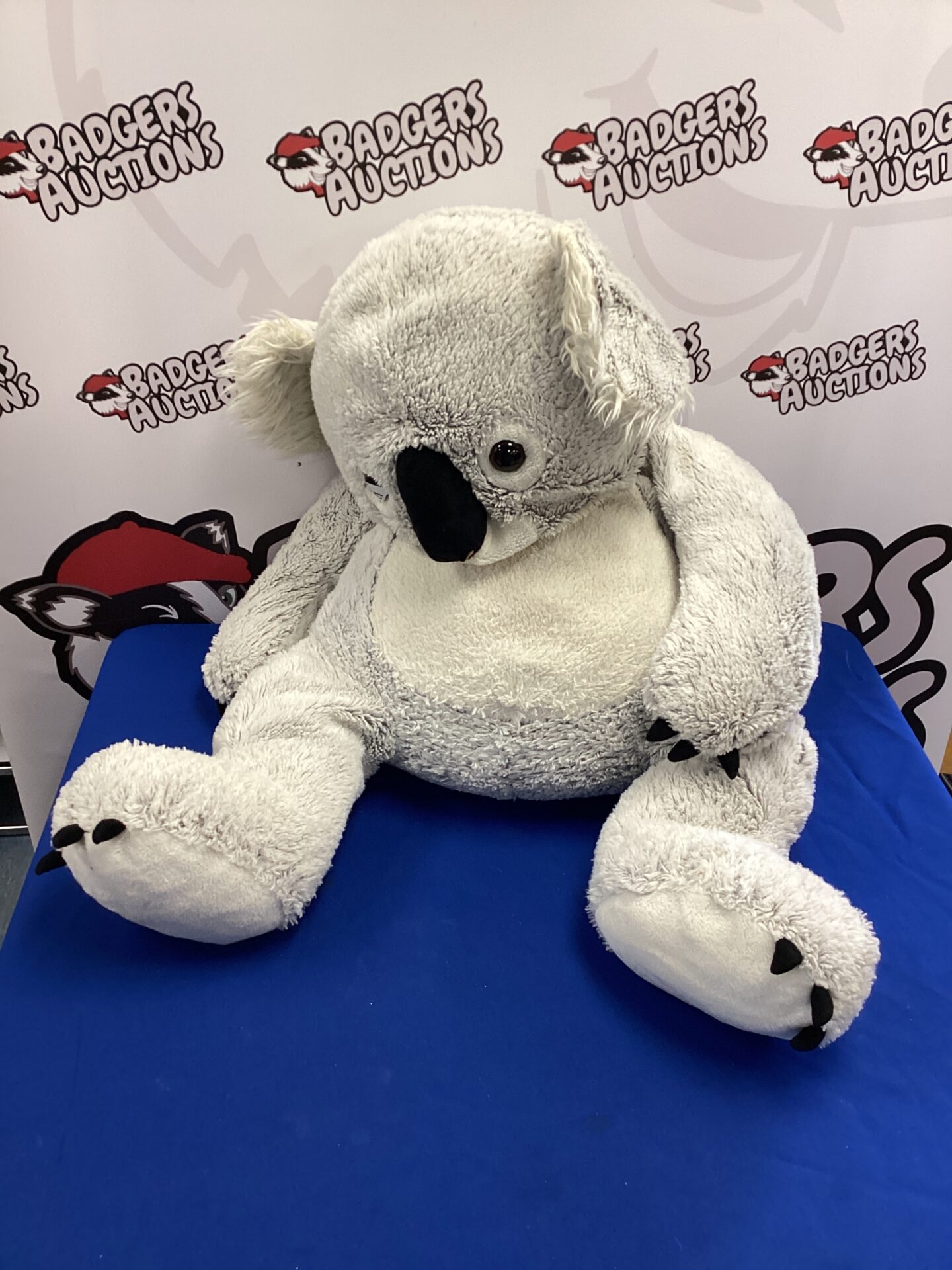 621 Large koala cuddly toy
