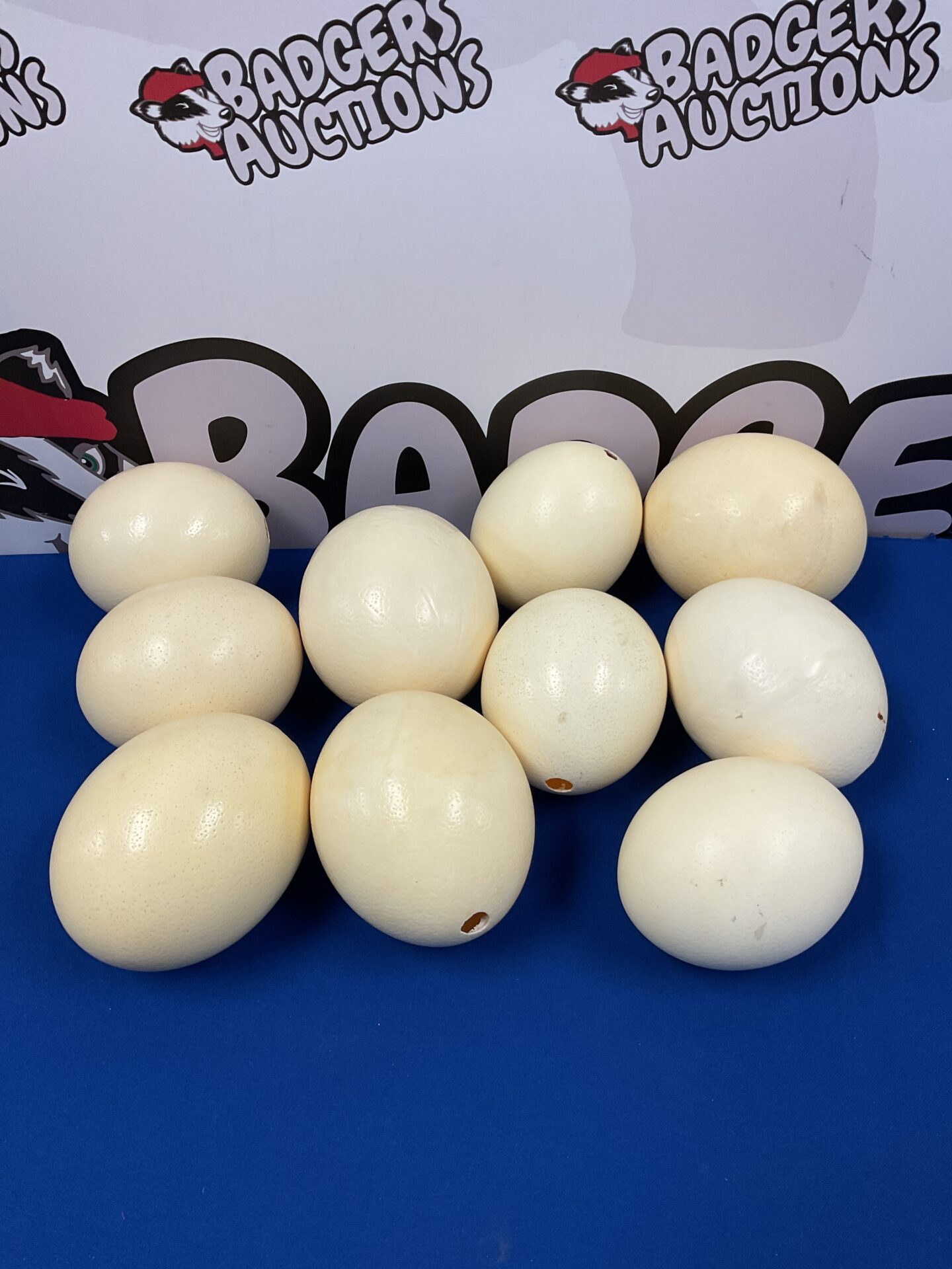 071 Lot of 10 large ostrich eggs