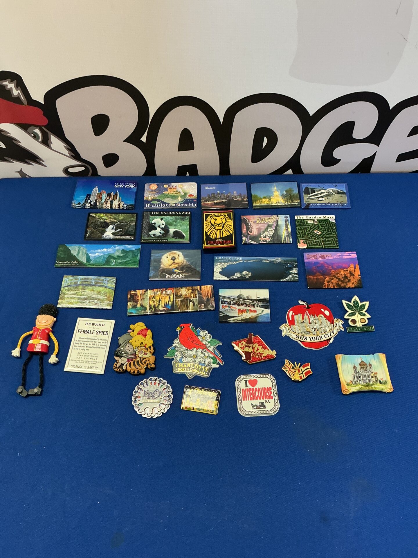 230 Collection of fridge magnets including Las Vegas, intercourse pa & Disney epcot