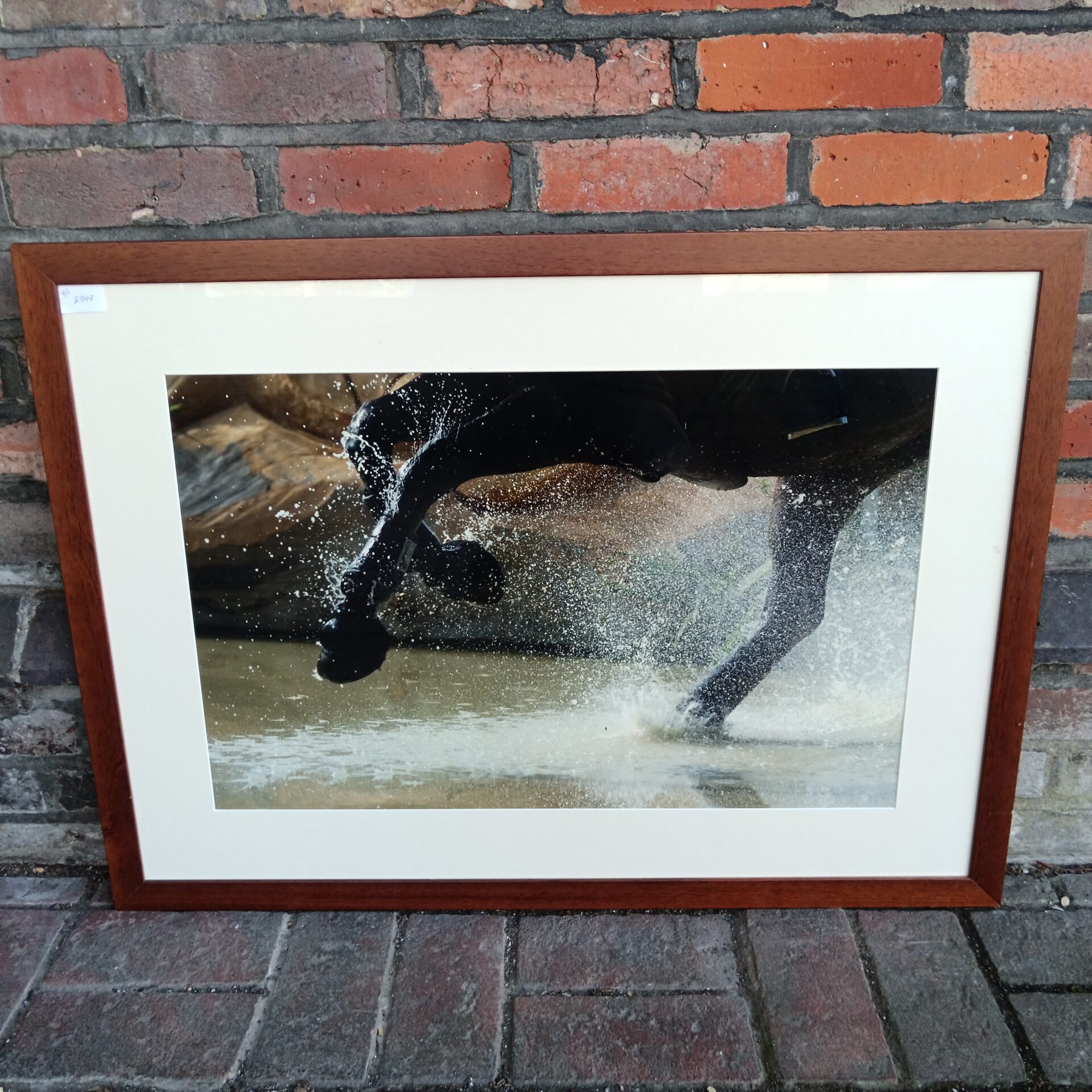 701 Large photographic print of a galloping horse in water