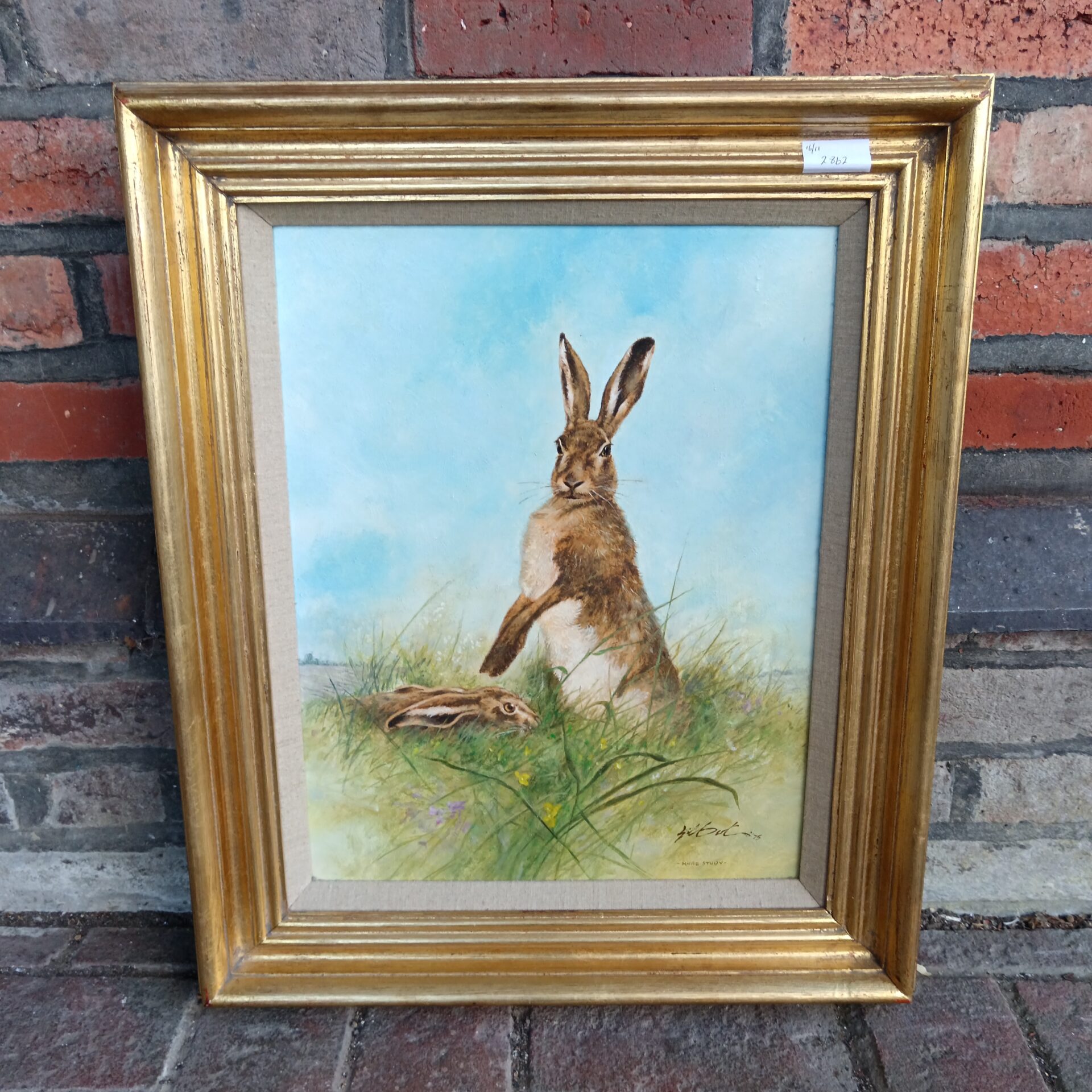 798 Original Gilbert signed oil on board study of a spring hare