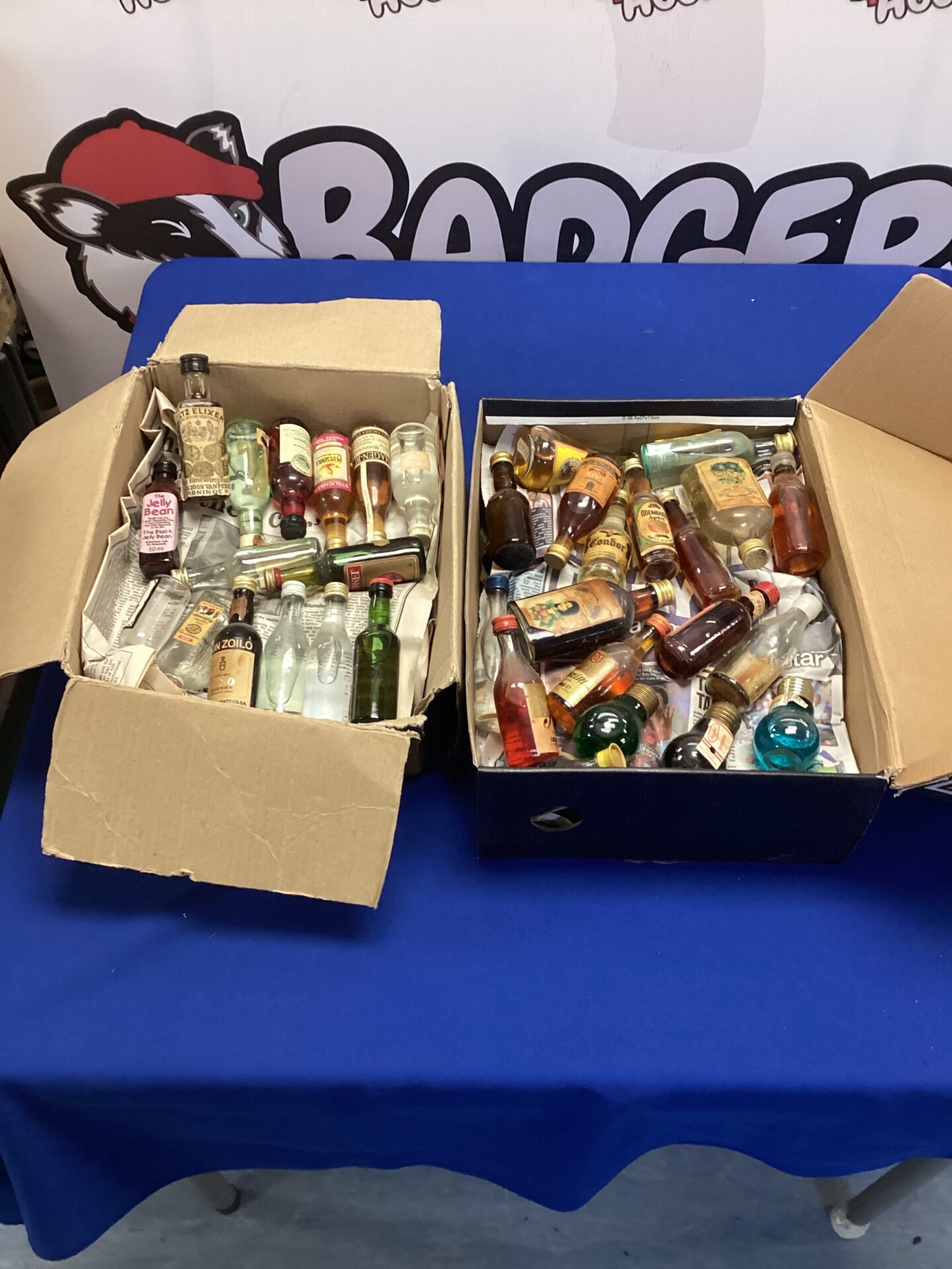 586 Two boxes of miniature bottles of alcohol inc catz elixer & negrita