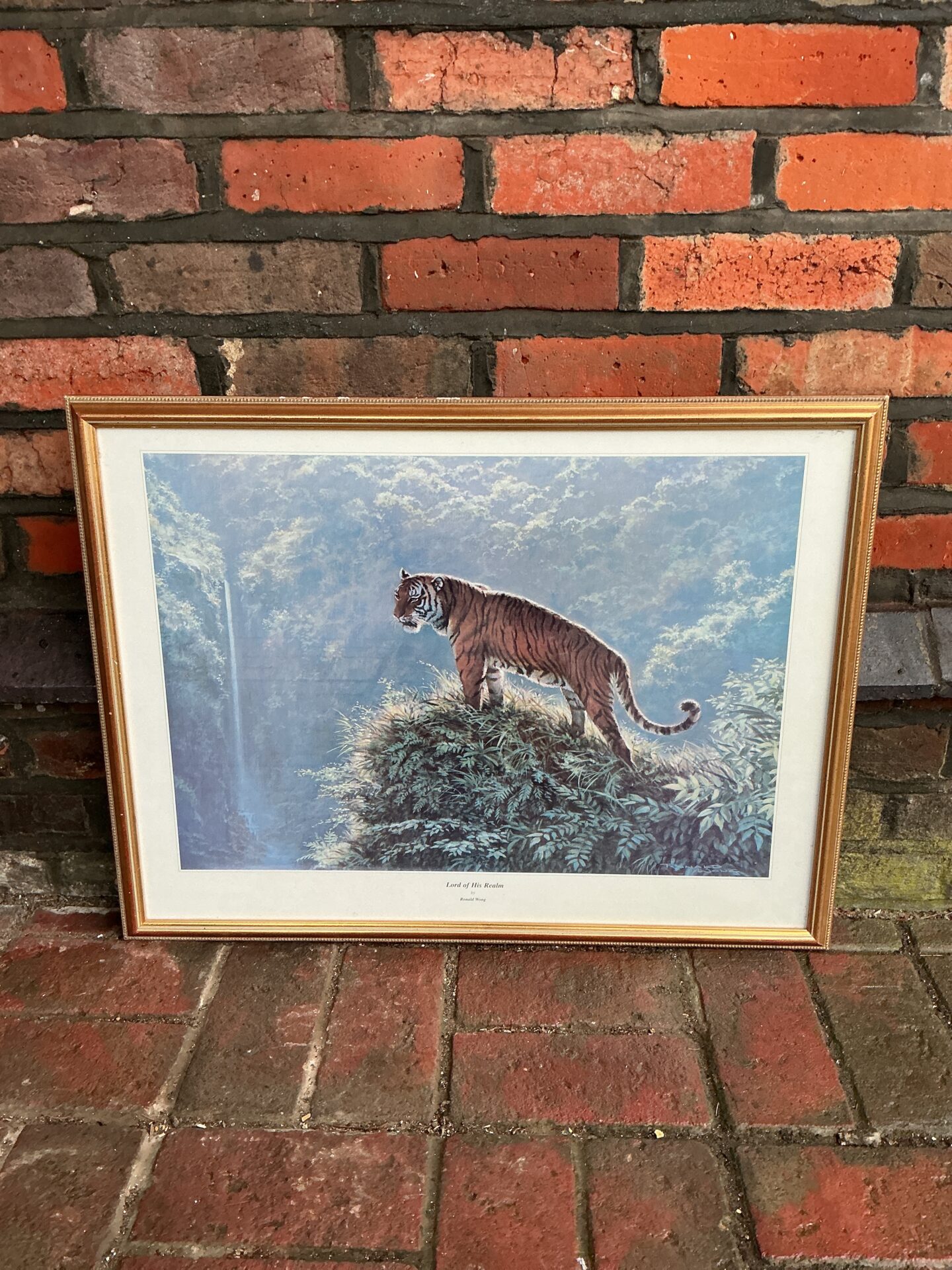 765 Ronald Wong framed print of a tiger titled lord of his realm