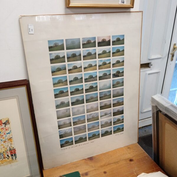 Signed photographic print of a walnut tree throughout the seasons.