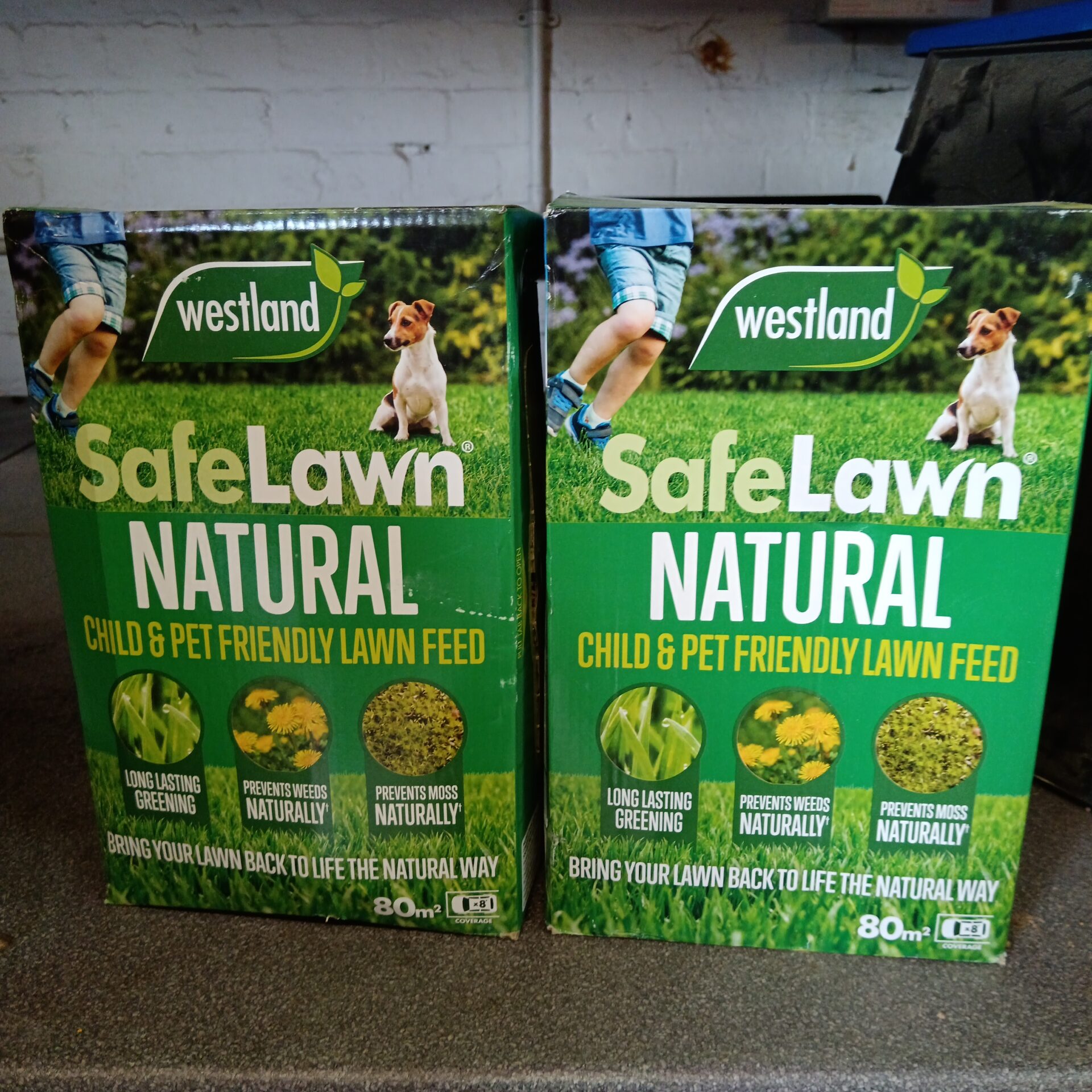 1189 Two boxes of Westland safe lawn natural feed