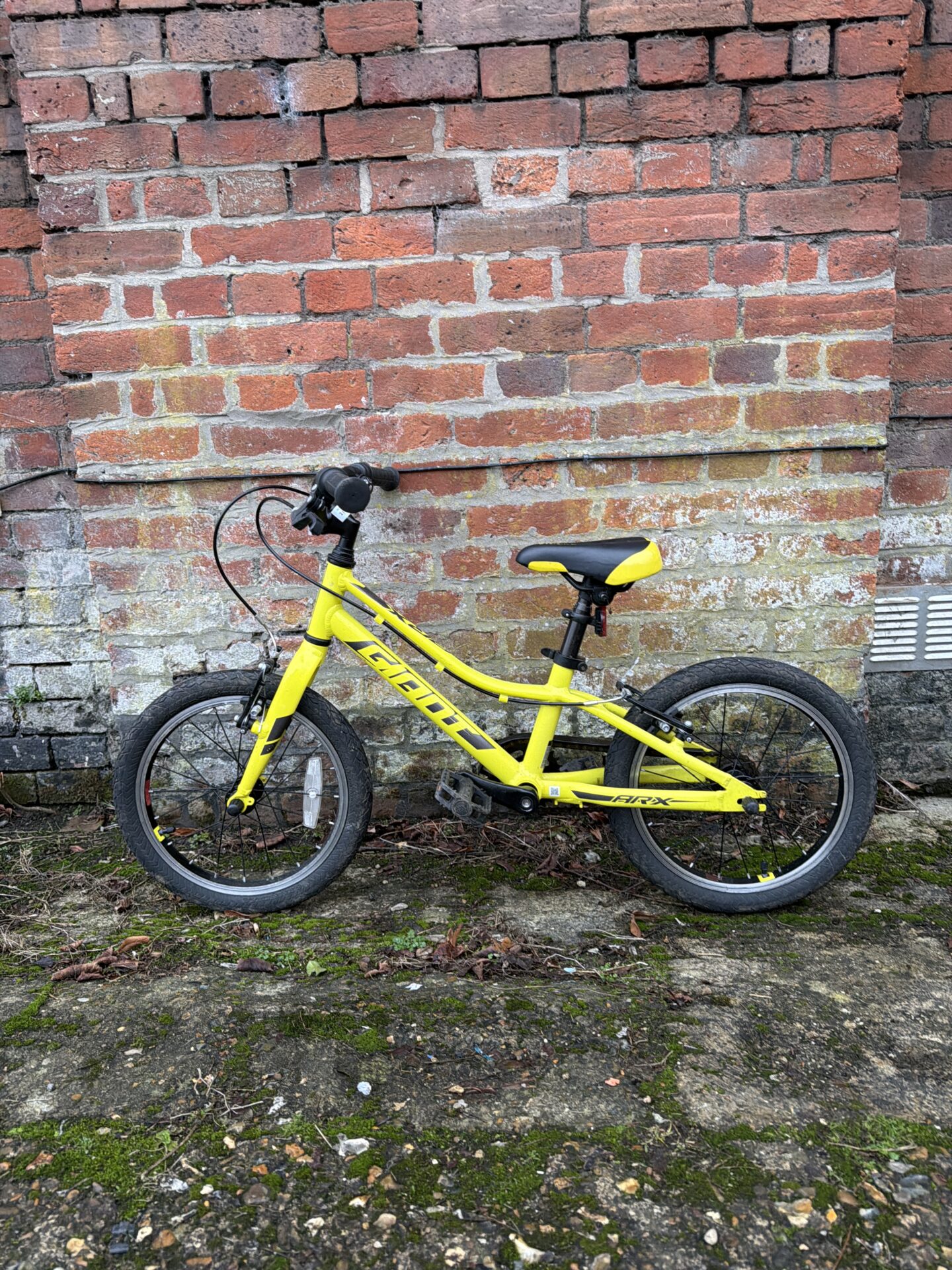 1246 Giant ARX children’s bike