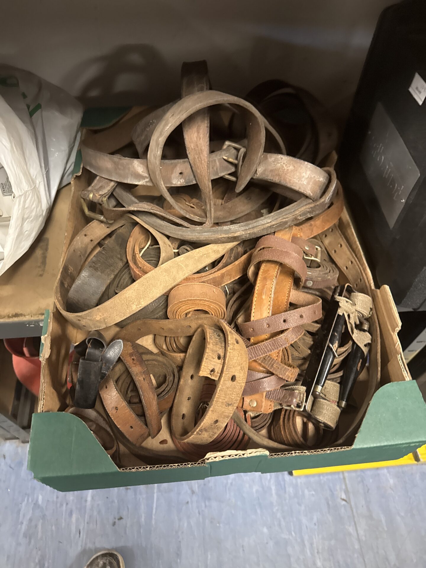 1115 Tray of leather horse straps