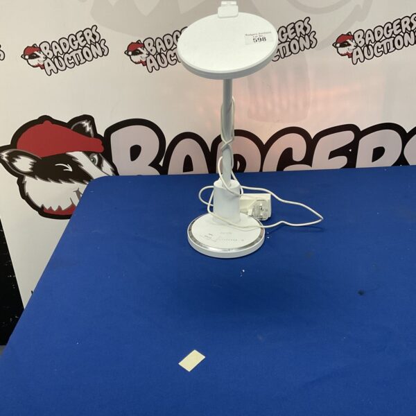 Adjustable Jukstg desk lamp for office or home use.