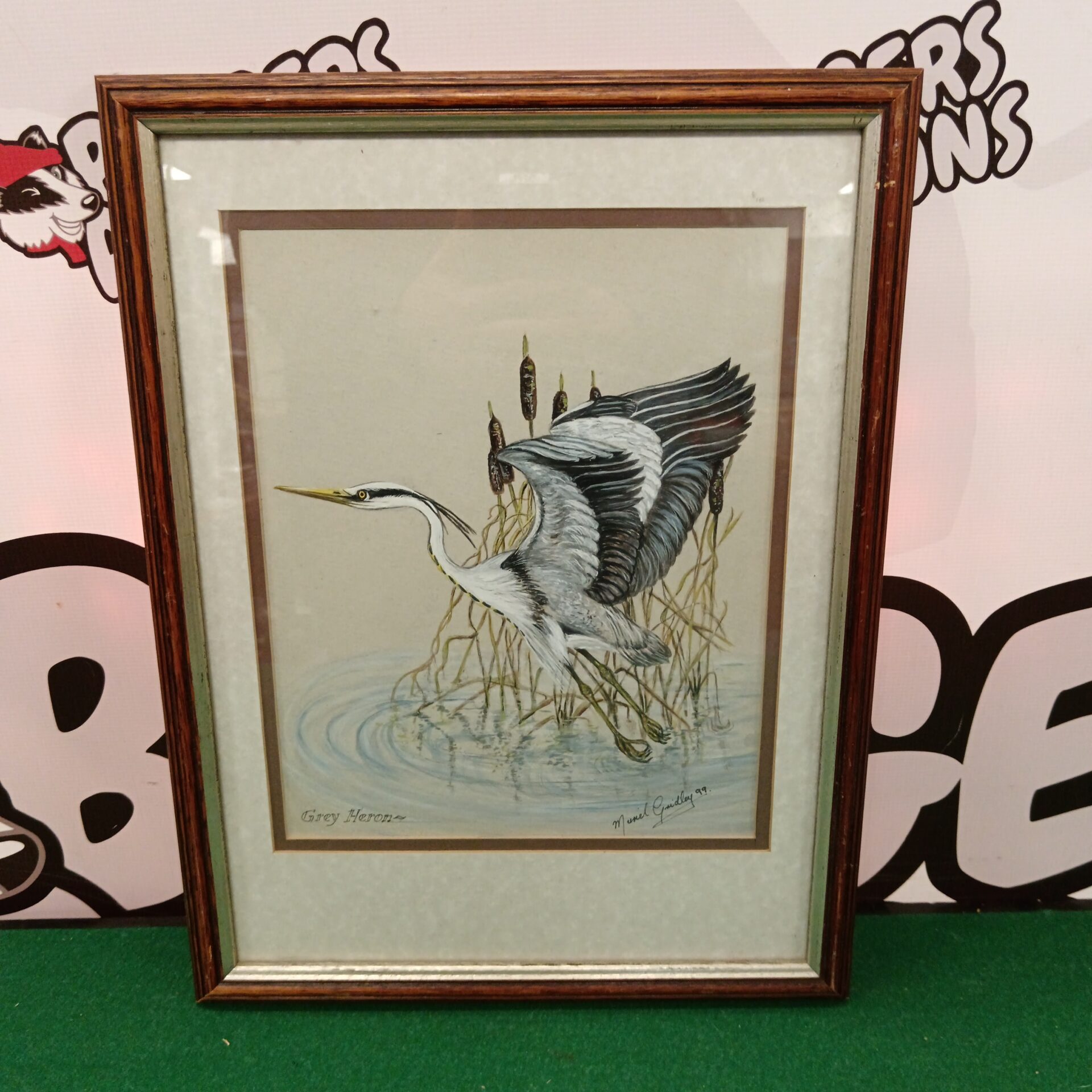 740 muriel gridley watercolour of a grey heron amongst reed bed