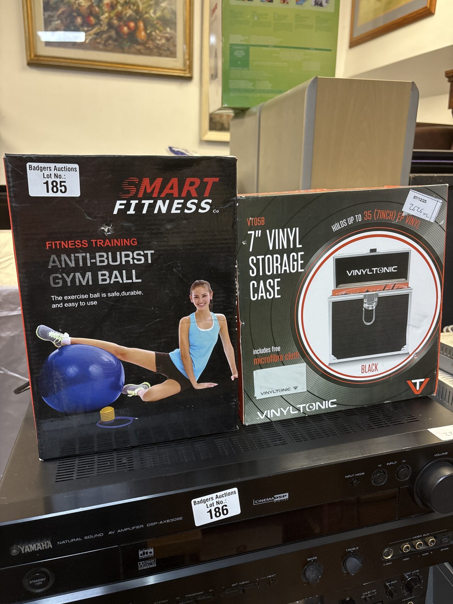 202 Smart fitness anti burst gym ball with 7” vinyl storage case