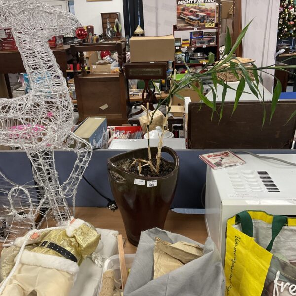 Terracotta plant pot with a healthy houseplant for indoor decor.