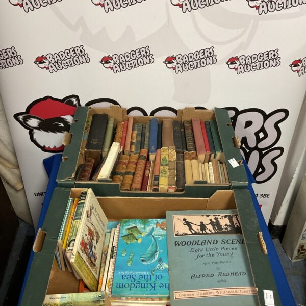 Two boxes filled with a vintage book lot for collectors.