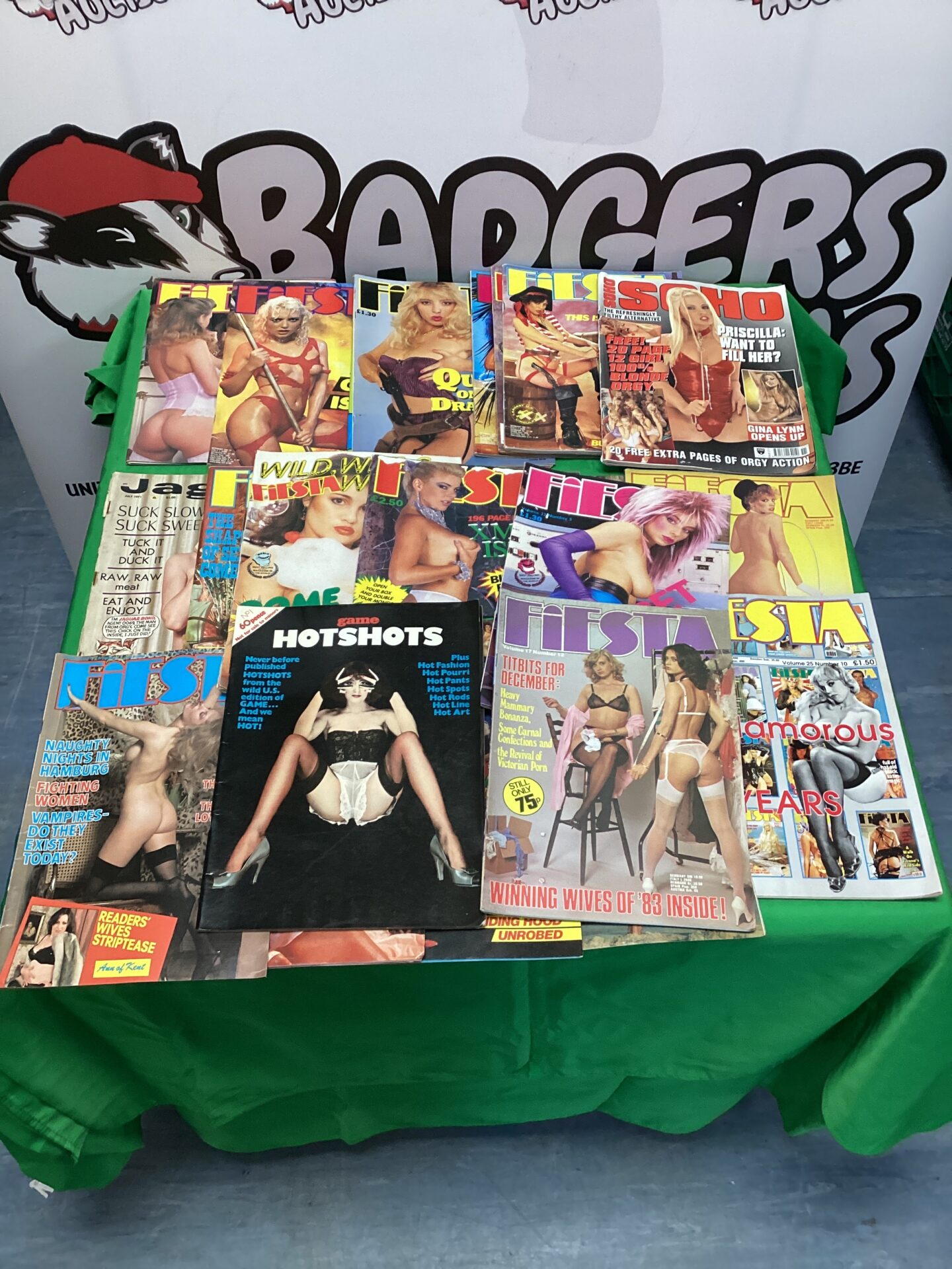 508 Bundle of mostly fiesta adult magazines